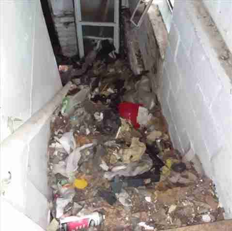 4200156_0028 (2).jpg